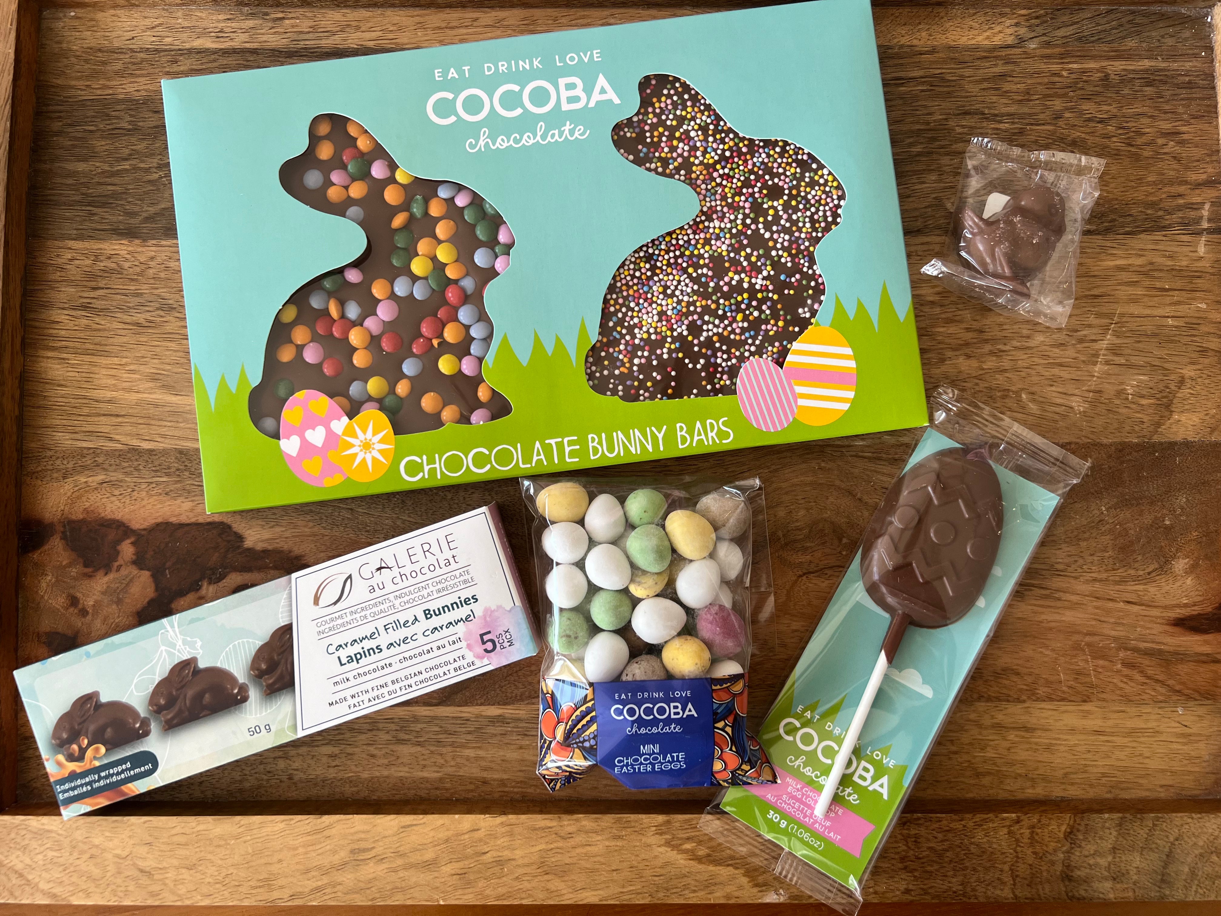 Easter Bunny- Gift Bag